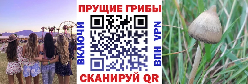 Галлюциногенные грибы ЛСД  где продают   Ахтубинск 